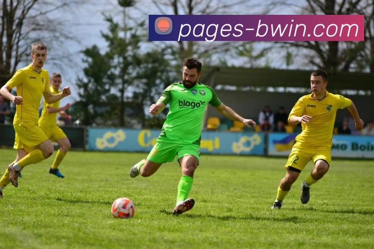 必赢体育官网APP 封面图